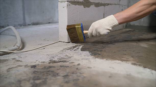 SJ Waterproofing Pros Waterproofing coverage map for Mayville, MI and surrounding area